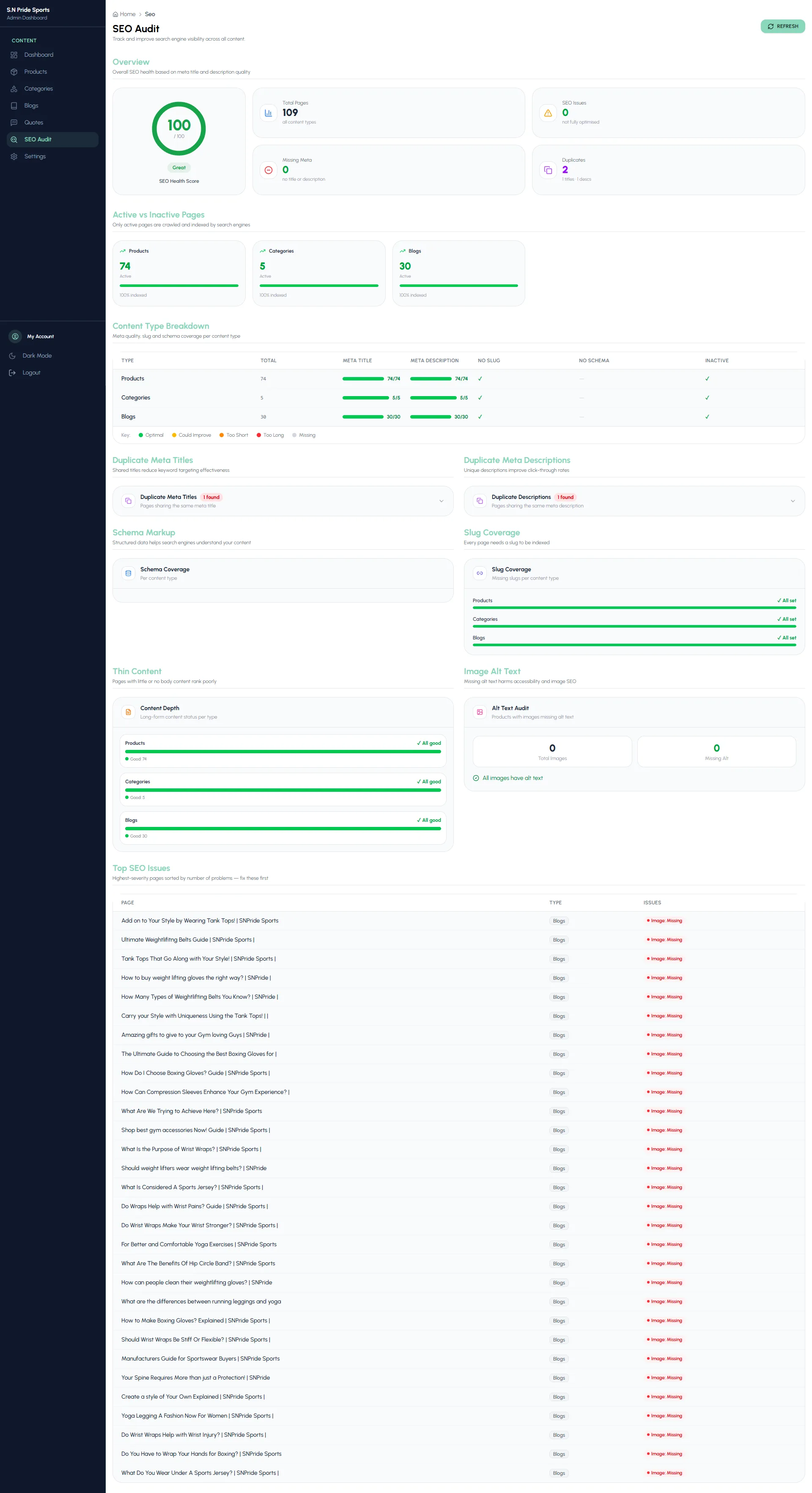 SN Pride Dashboard — SEO Audit